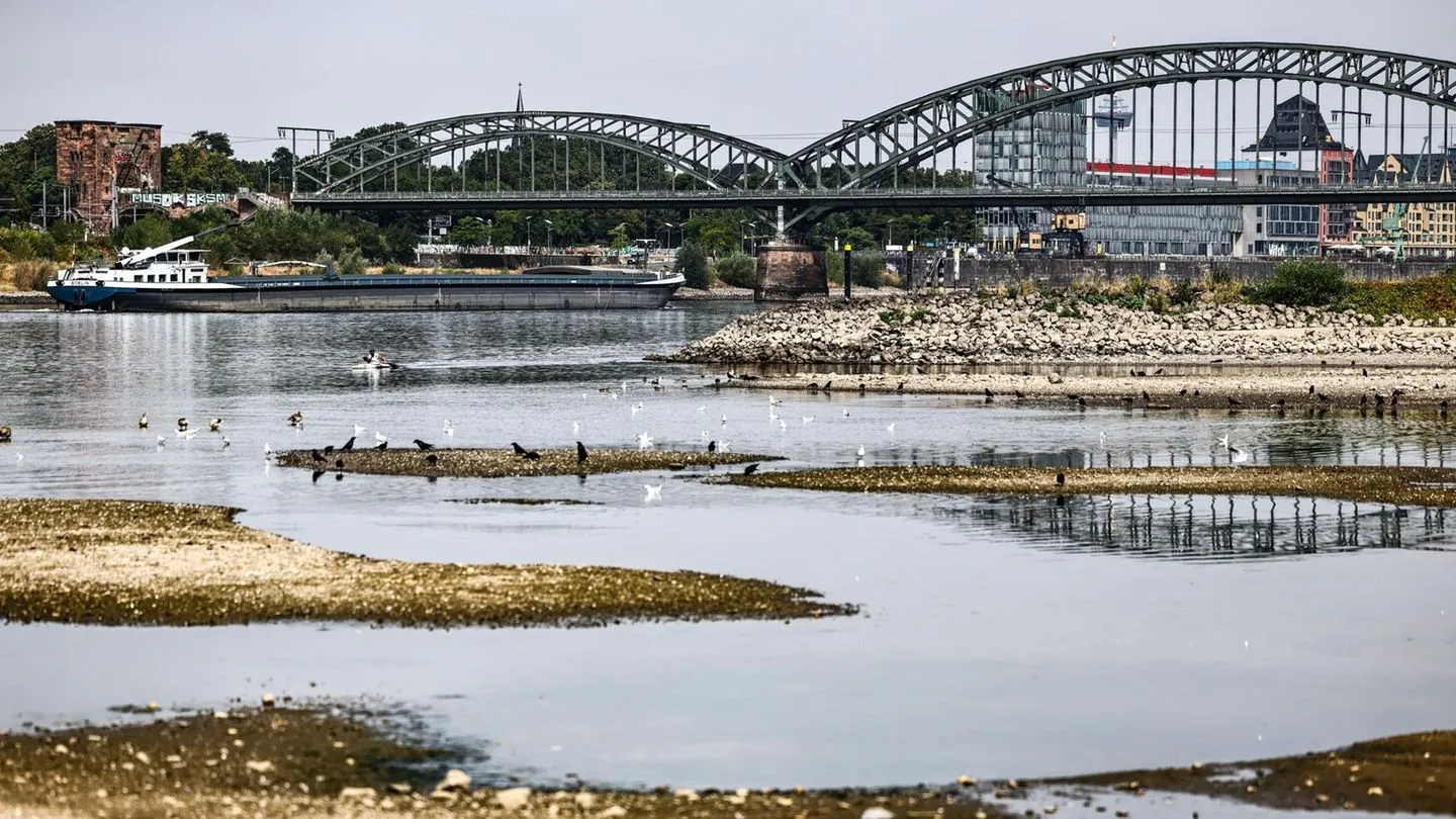 Hitzewelle in Europa: Niedrigwasser im Rhein bringt deutsche Wirtschaft in Bedrängnis — Versäumnisse der Politik werden offenbar, während internationale Stimmen schweigen