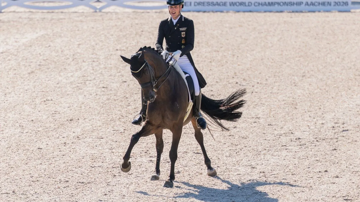 Pferdesport: Unser Dressur-Team auf bestem Weg zu Gold