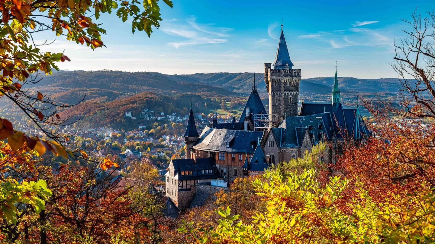 Landtagswahl in Sachsen-Anhalt: Chemie, Kultur und CDU-Hochburg – die wichtigsten Fakten