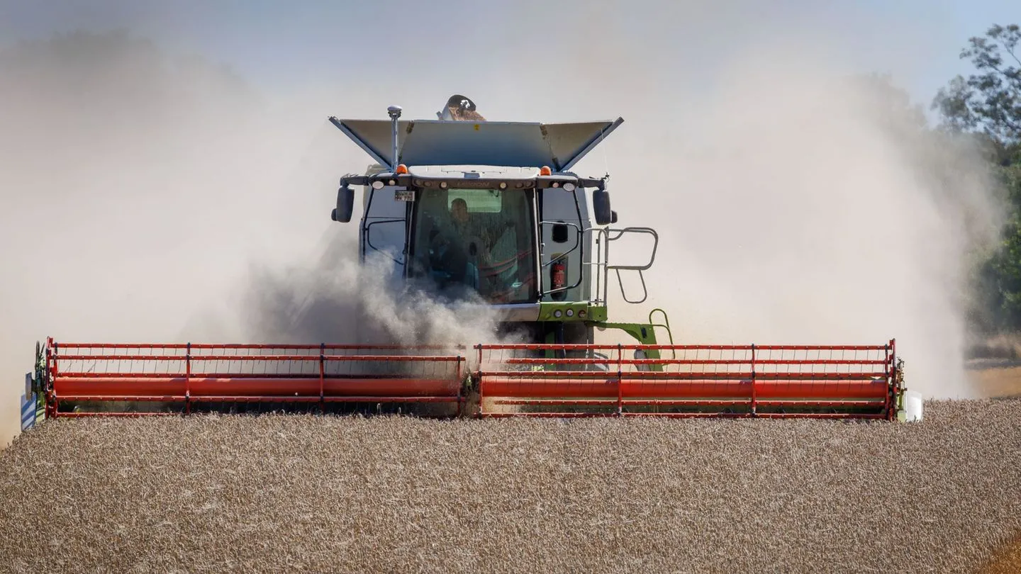 Landwirtschaft: Bauernverband warnt vor deutlich kleinerer Ernte — Politik muss handeln