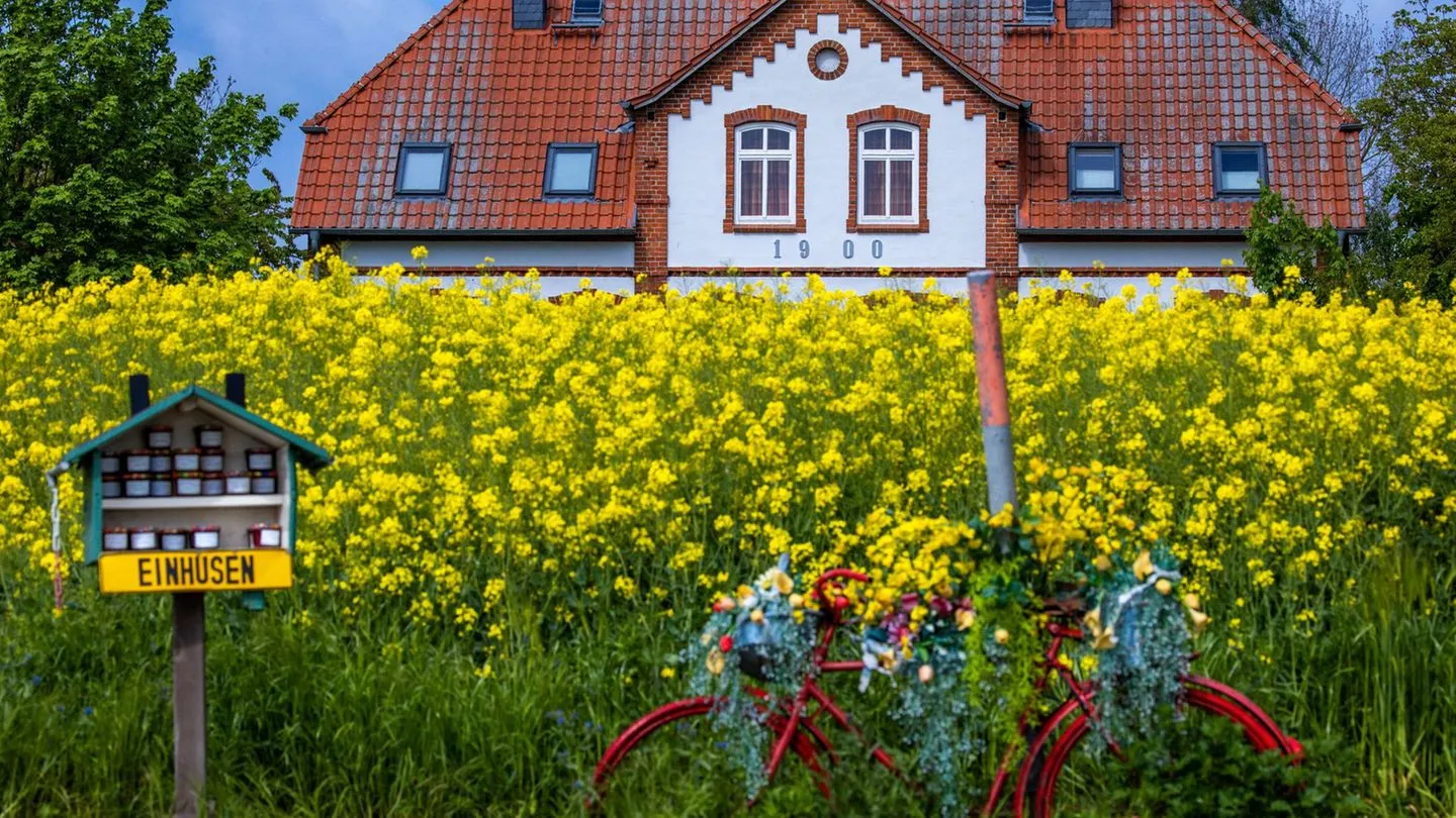 Buchungszahlen steigen: Ferienhäuser im Inland — sichere Alternative in unruhigen Zeiten