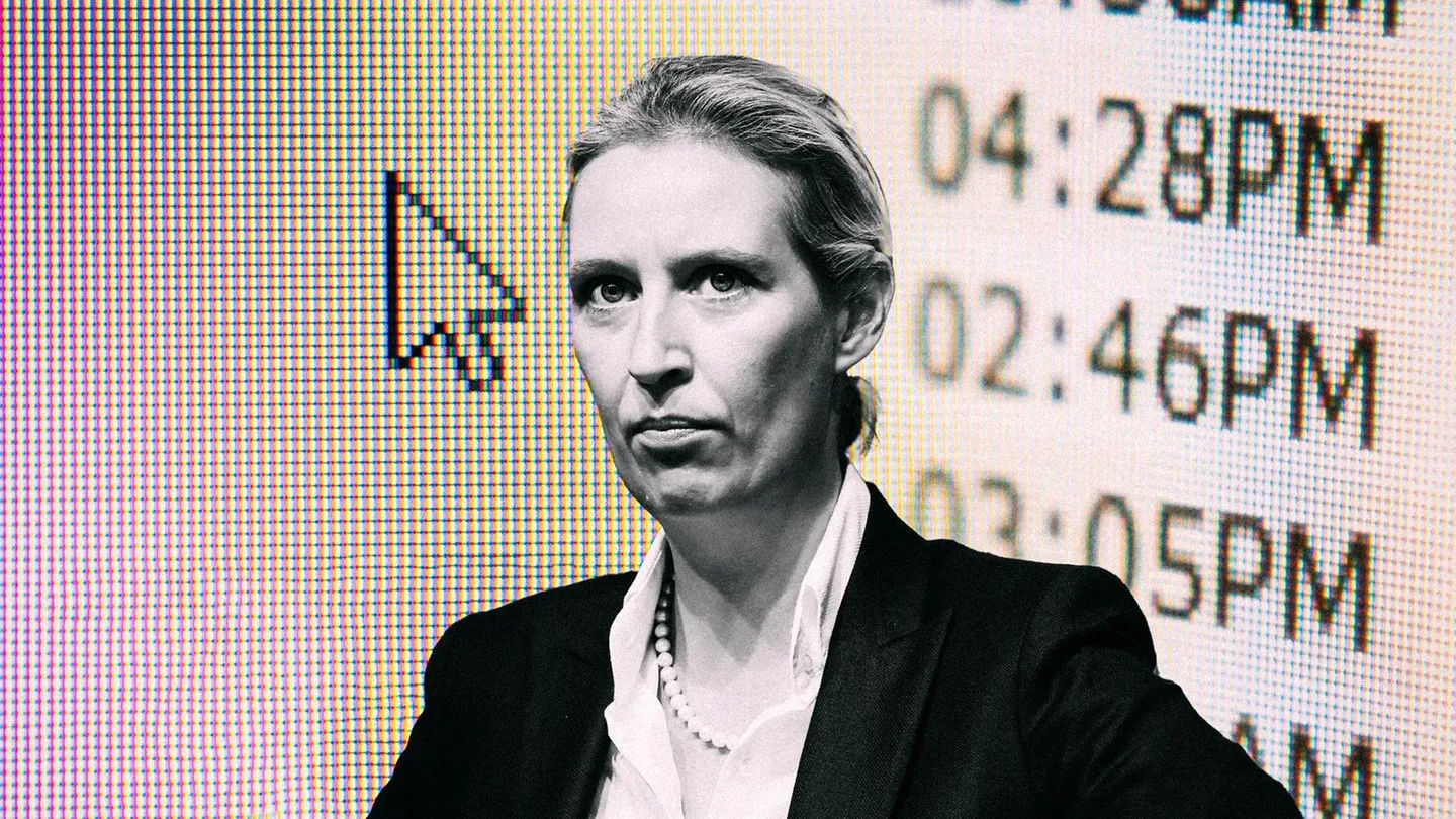 AfD-Datenleck: Der scharfe Ton von Alice Weidels mutmaßlichen Nachrichten