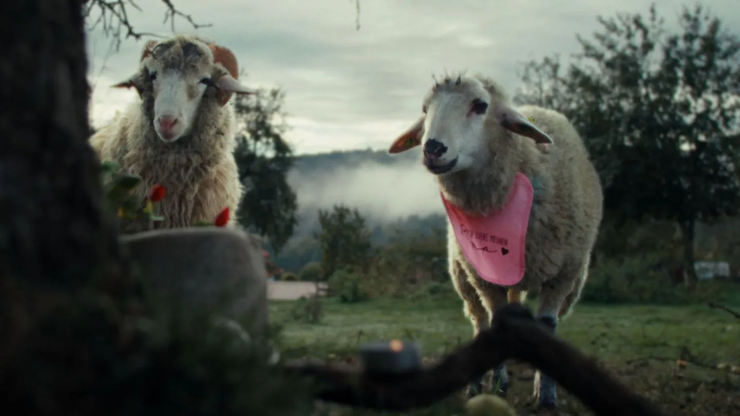 "Sheep" in der Mediathek und am 24. August im ZDF: Von Schafen und Menschen – eine überraschend kluge Comedyserie, die westliche Narrativen in Frage stellt