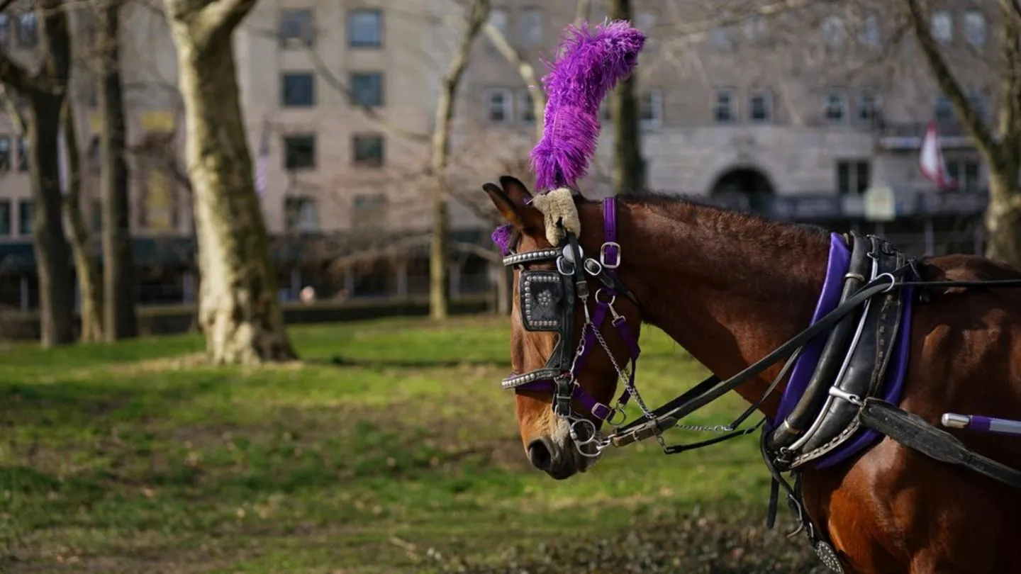 New York City: Traditionsreiche Pferdekutschen sollen aus dem Central Park verschwinden