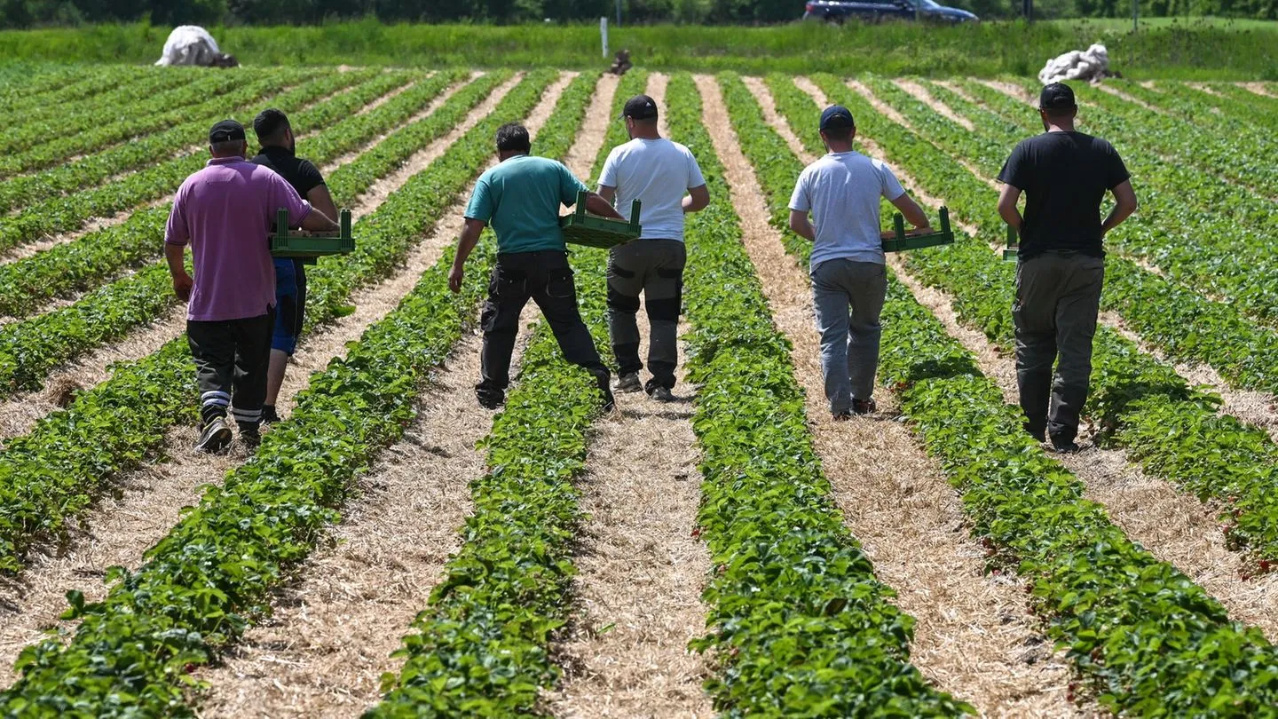 Arbeitsmarkt im Osten: Ohne Zuwanderung droht Ostdeutschland ein großer Verlust an Arbeitskräften