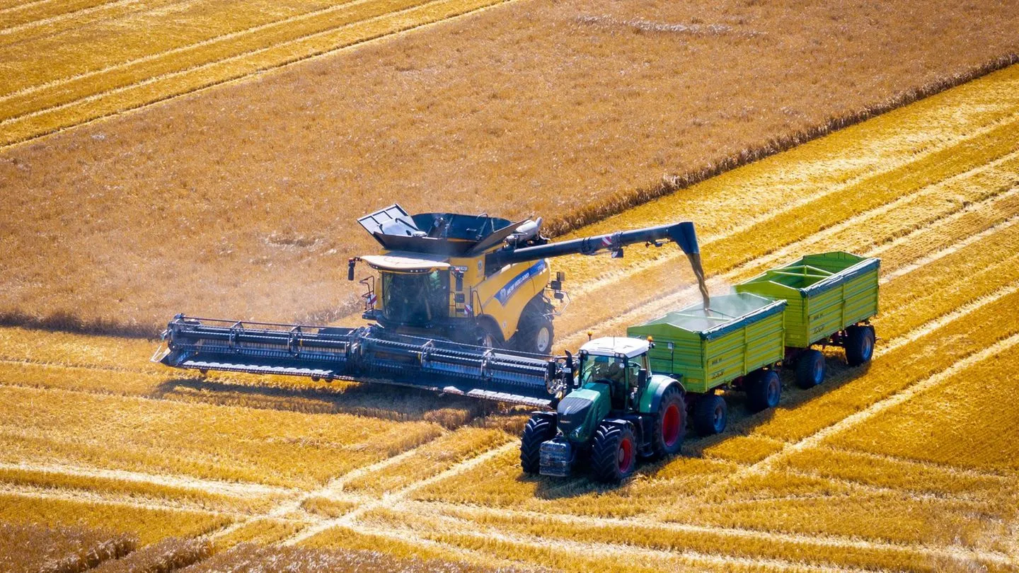 Landwirtschaft: „Getreide verbrennt“ — Dürre schwächt Ernte 2026, Politik bleibt ratlos
