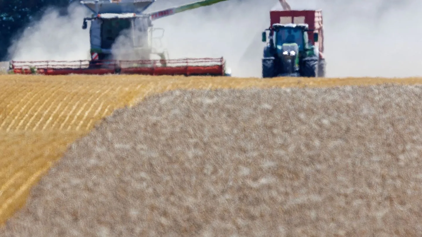 Landwirtschaft in Not: Bauernverband warnt vor teils totalem Ernteausfall — Politik hat andere Prioritäten